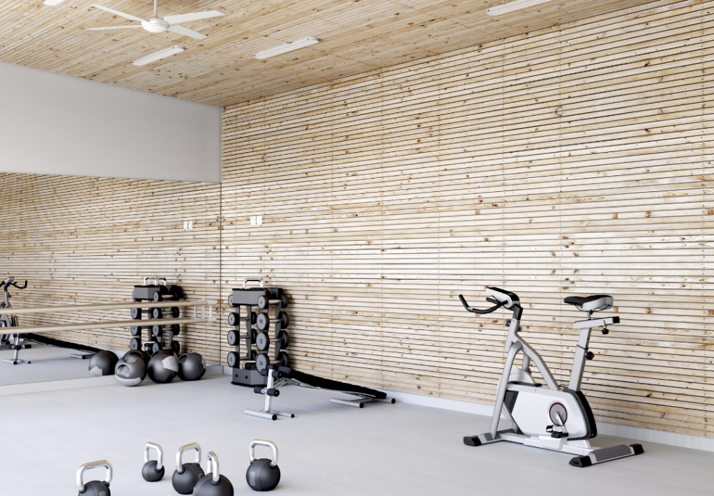 home gym and equipments